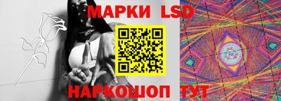 индика Кулебаки