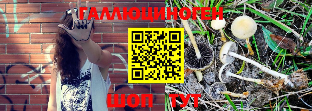 Ейск  Галлюциногенные грибы ЛСД  Вход с VPN  Псилоцибиновые грибы MAGIC MUSHROOMS 