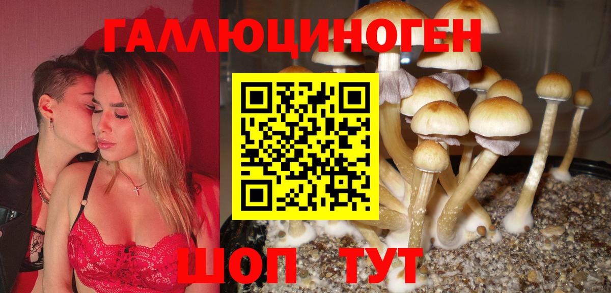 Псилоцибиновые грибы Magic Shrooms Ейск